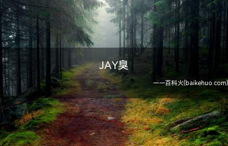 JAY臭是什么梗(JayChou(周杰伦英文名)的谐音)