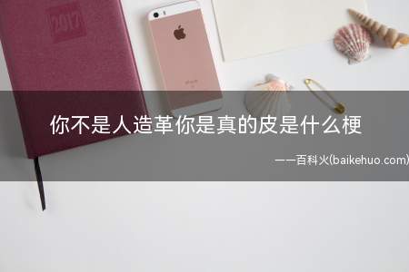 你不是人造革你是真的皮是什么意思(你不是人造革,你是真的皮,网络用语,这儿的“皮”是调皮的皮)