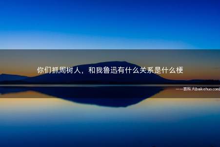 你们抓周树人,和我鲁迅有什么关系是什么意思(抓捕周树人跟我鲁迅有什么关系?)