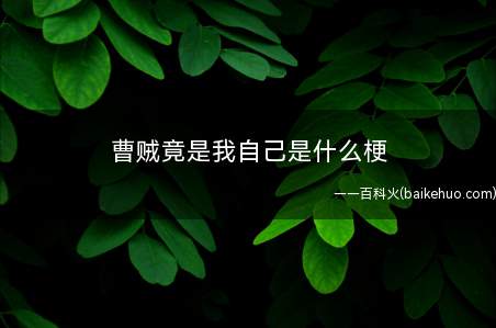曹贼竟是我自己是什么意思(曹贼垂死病中惊坐起,曹贼竟是我自己)
