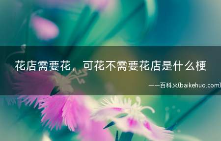 花店需要花,可花不需要花店是什么意思(你需要我,但我不会一定需要你)