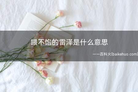 喂不饱的雷泽是什么梗(指原神的一些玩家,对官方网举行的活动内容所下发的奖赏不满意)