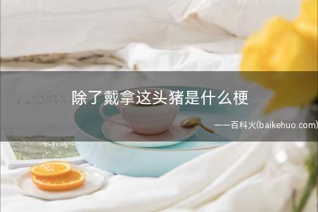 除了戴拿这头猪是什么梗(自古以来对波左侧输,除了戴拿这头猪。)