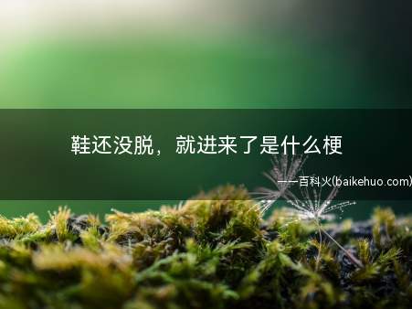 鞋还没脱，就进来了是什么意思（《四月是你的谎言》:我是不是也住进了你的内心呢?）