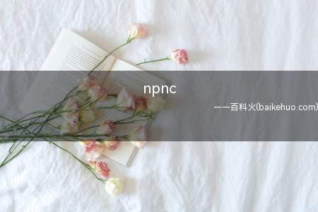 npnc是什么意思(npnc,是互联网中的一种流行用语)