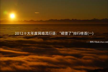 2012十大年度网络流行语：“碉堡了”排行榜首(一)