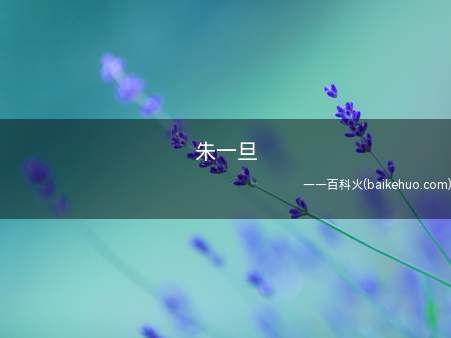 朱一旦是什么梗（买口罩、捐口罩的视频受欢迎各大网站）