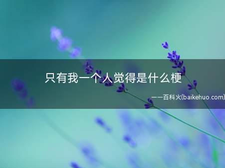 只有我一个人觉得是什么梗(期待自身的观点可以获得他人的认可)