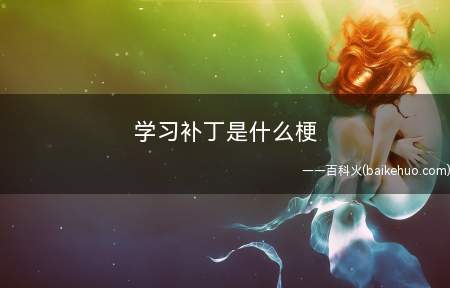 学习补丁是什么梗（软件正版化(大多数是游戏)盗版破解补丁的婉转观点）