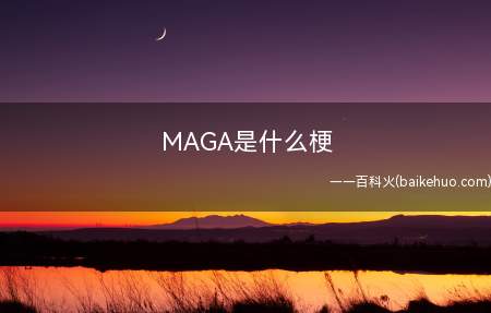 MAGA是什么梗(地球上有名灯塔国17年就任的第45届美国总统Donald T)