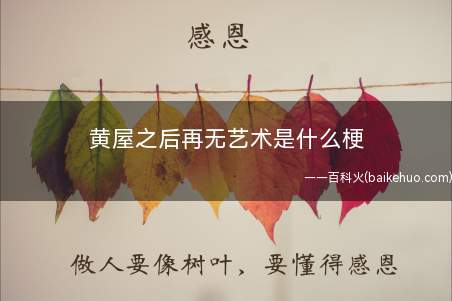 黄屋之后再无艺术是什么意思(黄屋就是指网络主播药水哥)