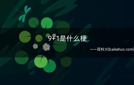 9+1是什么梗（继521314以后的又一数学系告白）