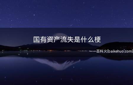国有资产流失是什么梗(2018中央电视台狗年春晚小品提意见)