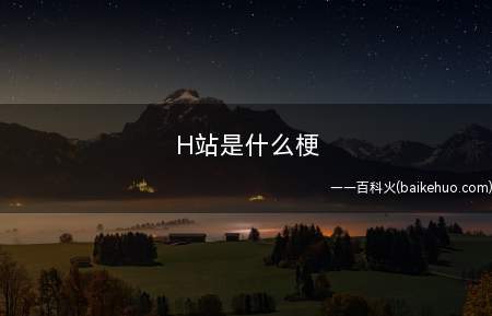 H站是什么梗(动漫游戏资讯的正儿八经网站)