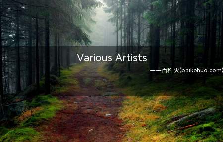 Various Artists是什么梗(又名V.A)