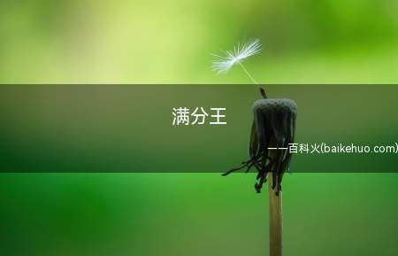 满分王是什么意思(满分王的含义便是在夜场或是迪厅民族舞蹈跳的较好的那一位)