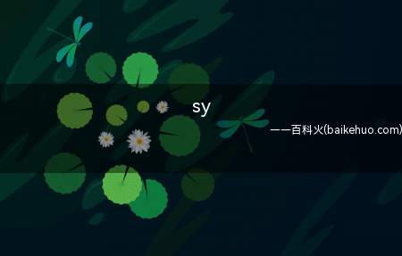 sy是什么意思(游泳运动员“孙杨”拼音首字母缩写)