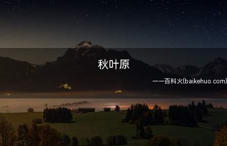 秋叶原是什么梗(日本东京知名商业街区被称作宅文化胜地)