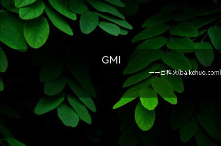 GMI是什么意思（即光鸣的拼音 岛的英语(GuangMing Island)的）