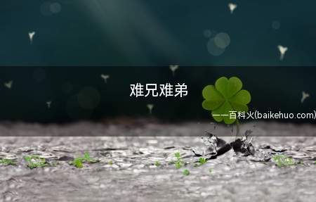 难兄难弟是什么意思(一汽大众汽车被曝产品质有什么问题)