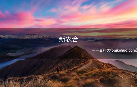 新农合是什么梗(新型农村合作医疗,即新农村建设医保)