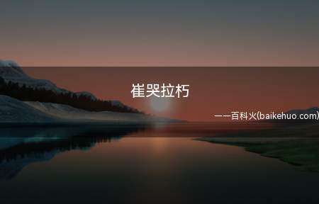 崔哭拉朽是什么意思(崔永元哭诉阴阳合同的事儿拉垮了全部腐烂的影视制作娱乐圈)