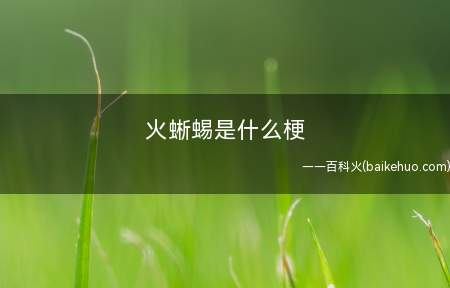 火蜥蜴是什么意思(日语“想要”的中文谐音)