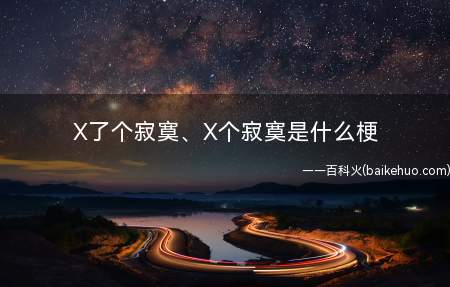 X了个寂寞、X个寂寞是什么意思?