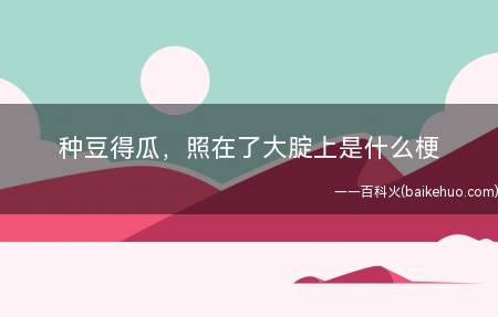 种豆得瓜,照在了大腚上是什么意思(正道的光,照在了大地面上)