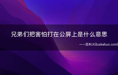 兄弟们把害怕打在公屏上是什么梗(B站等弹幕视频网站收看到一些精彩纷呈的内容)