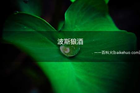 波斯狼酒是什么意思(柬埔寨语的我喜欢你,原文是“Bongsalang oun”,)