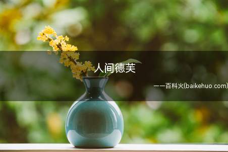 人间德芙是什么梗(赞美视频剪辑视频作者的语句)