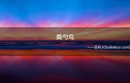 粪勺鸟是什么梗（愤怒的小鸟被说变成粪勺鸟）
