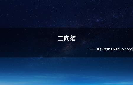 二向箔是什么意思（代指超过人们认知能力的大杀器）