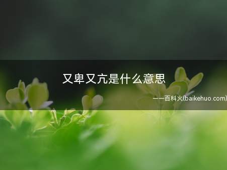 又卑又亢是什么梗（比喻在应对生活时并不是忽然的啊）