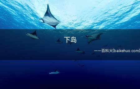 下岛是什么意思(崇拜偶像被称作“下岛”)