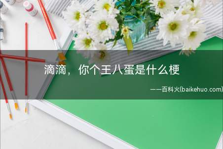 滴滴，你个王八蛋是什么意思（德拉曼出租车喊出来那句十分搞怪忽悠的台词:滴滴,你个王八蛋!）