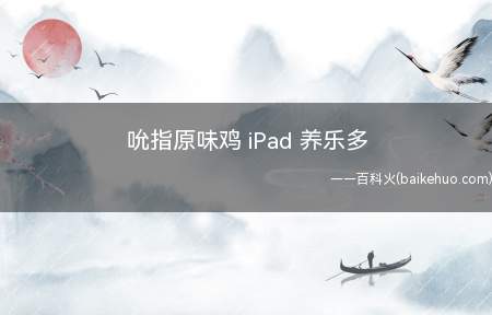 吮指原味鸡 iPad 养乐多是什么意思(养广场体是粉丝的“必修课程”)