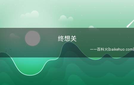 终想关是什么意思(总算想起来自身是由于哪些才关注up主的)