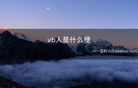 vb人是什么意思(五笔输入法应用的人较为少)