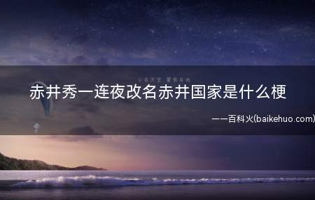 赤井秀一连夜改名赤井国家是什么梗(赤井秀一当晚改名字赤井国家)