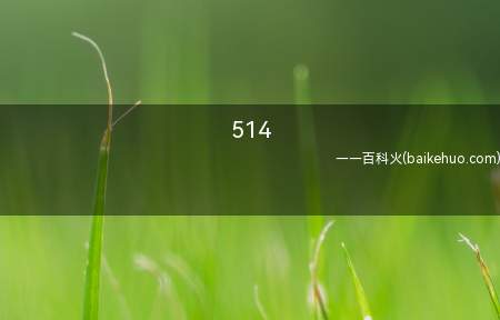 514是什么梗(无含意)