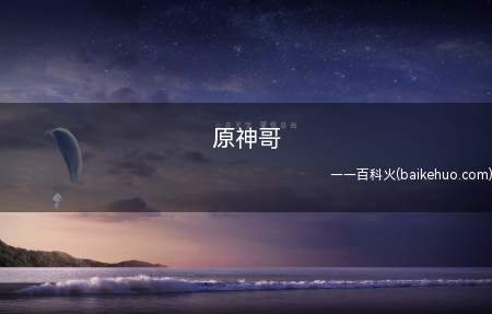 原神哥是什么梗（LOL韩职业队DK辅助选手beryl）