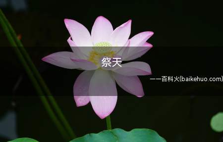 祭天是什么意思(杀掉程序猿、产品经理等,留住客户的一种典礼)