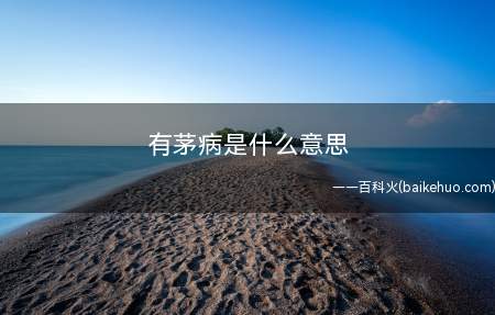 有茅病是什么梗(楷音“有毛病”,讽刺较贵)