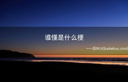 谁懂是什么意思(无论你是否懂,总之我经历过因此我明白这类感觉的意思)