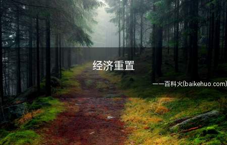 经济重置是什么梗(csgo社会经济系统软件)
