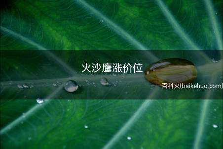 火沙鹰涨价位是什么意思(火沙鹰涨价位同happy位)
