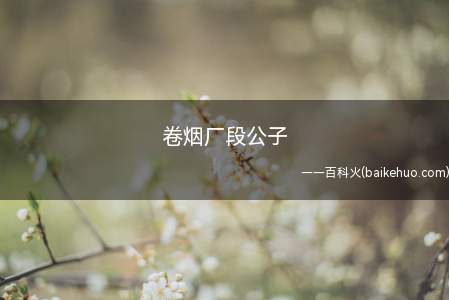 卷烟厂段公子是什么梗(斗鱼直播超级小桀,真实姓名段东杰)