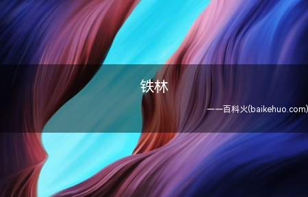 铁林是什么意思（铁林是NBA明星丹尼·格林的外号）